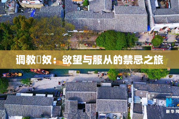 调教婬奴：欲望与服从的禁忌之旅