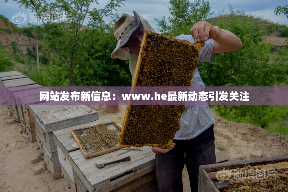网站发布新信息：www.he最新动态引发关注