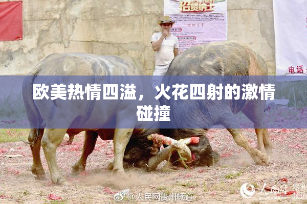欧美热情四溢，火花四射的激情碰撞