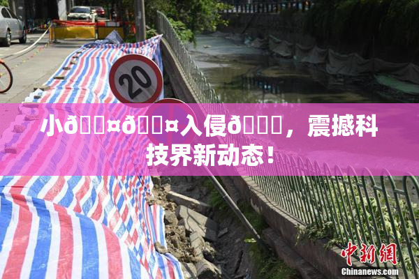 小🐤🐤入侵🍑，震撼科技界新动态！
