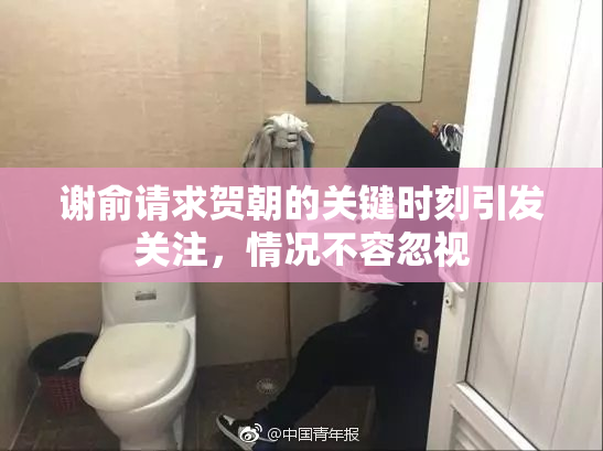 谢俞请求贺朝的关键时刻引发关注，情况不容忽视