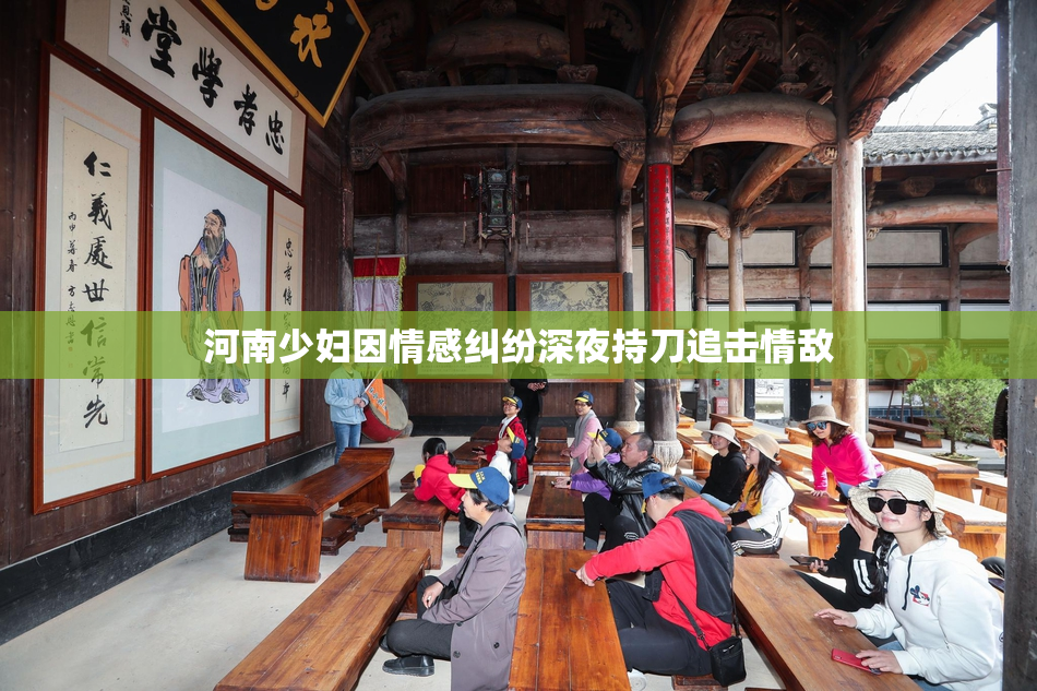 河南少妇因情感纠纷深夜持刀追击情敌