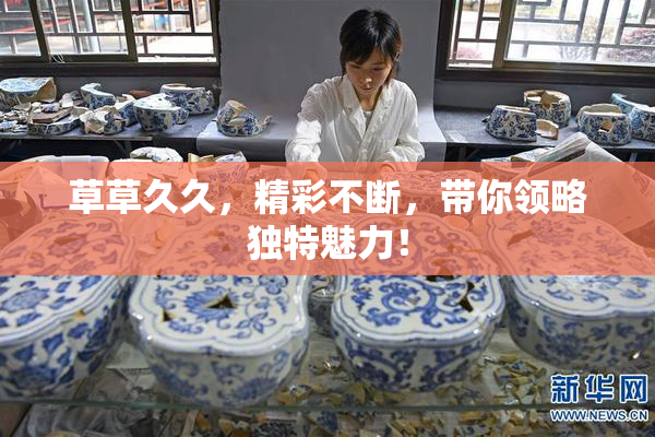 草草久久，精彩不断，带你领略独特魅力！