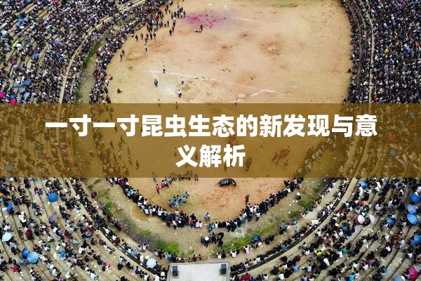 一寸一寸昆虫生态的新发现与意义解析