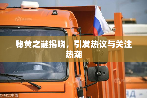 秘黄之谜揭晓，引发热议与关注热潮