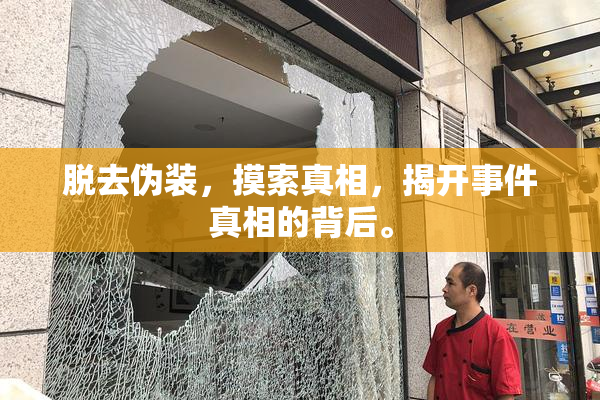 脱去伪装，摸索真相，揭开事件真相的背后。