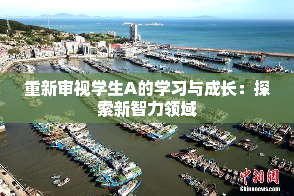 重新审视学生A的学习与成长：探索新智力领域