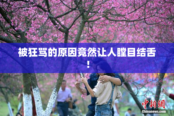 被狂骂的原因竟然让人瞠目结舌！