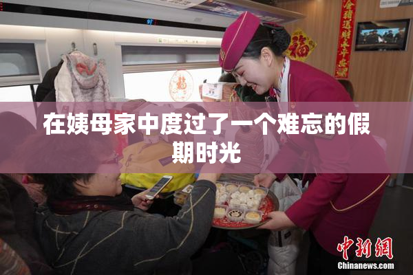 在姨母家中度过了一个难忘的假期时光