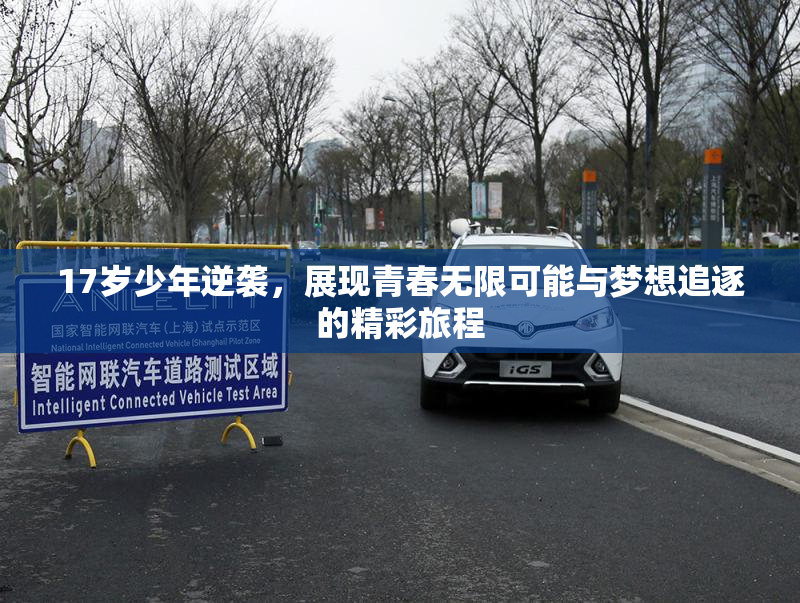 17岁少年逆袭，展现青春无限可能与梦想追逐的精彩旅程