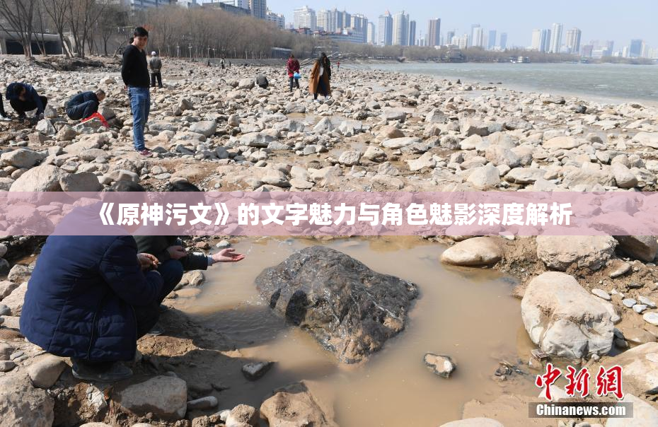 《原神污文》的文字魅力与角色魅影深度解析