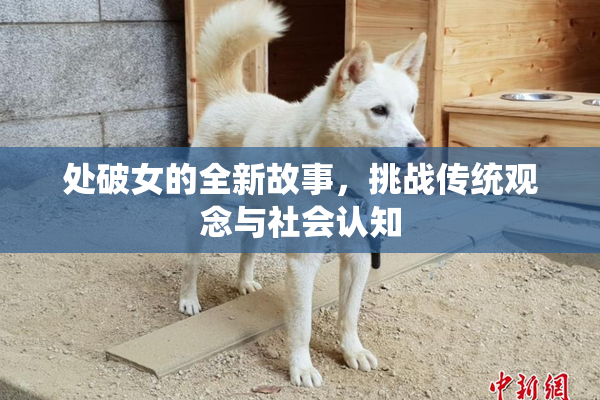 处破女的全新故事，挑战传统观念与社会认知