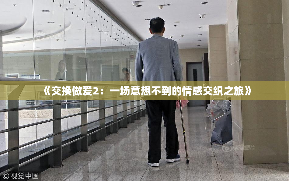 《交换做爰2：一场意想不到的情感交织之旅》