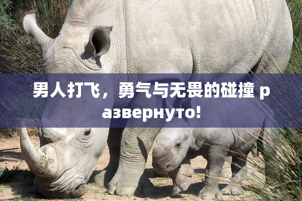 男人打飞，勇气与无畏的碰撞 развернуто!