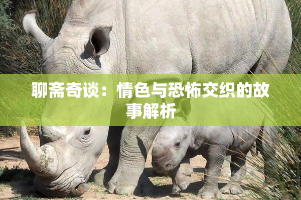 聊斋奇谈：情色与恐怖交织的故事解析