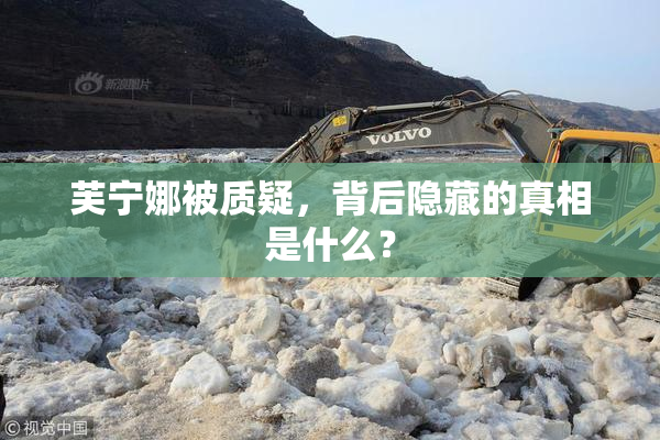 芙宁娜被质疑，背后隐藏的真相是什么？