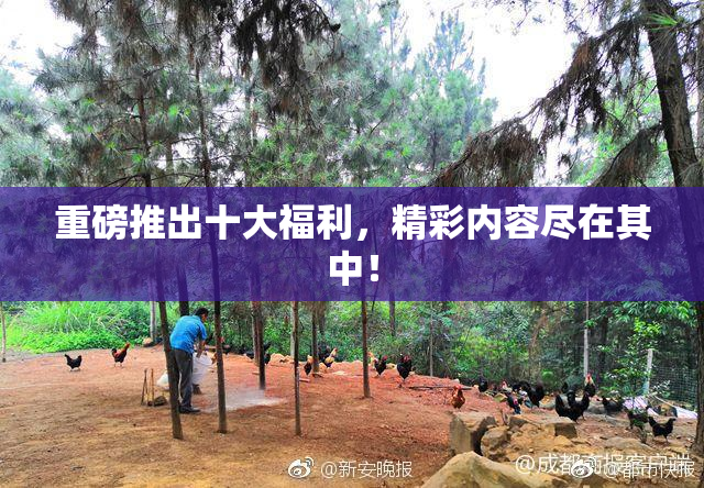 重磅推出十大福利，精彩内容尽在其中！