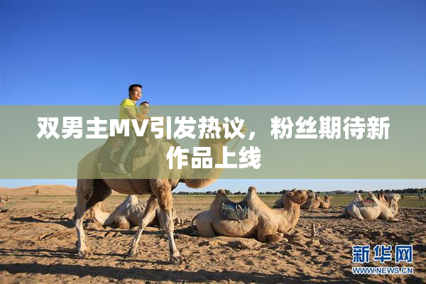 双男主MV引发热议，粉丝期待新作品上线