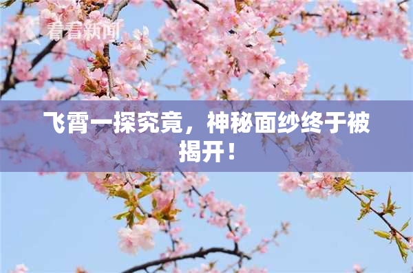 飞霄一探究竟，神秘面纱终于被揭开！