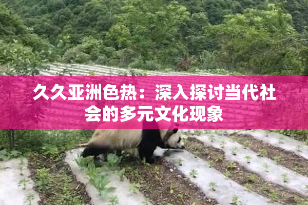 久久亚洲色热：深入探讨当代社会的多元文化现象