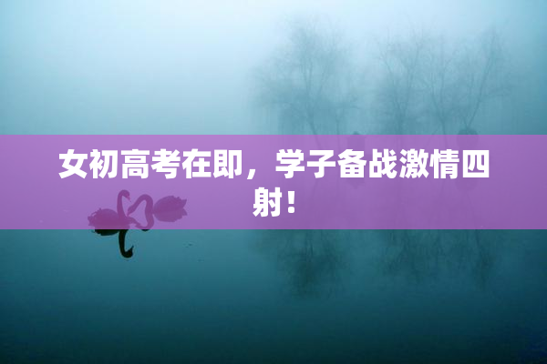 女初高考在即，学子备战激情四射！