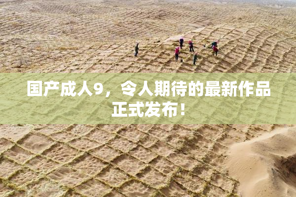 国产成人9，令人期待的最新作品正式发布！