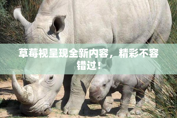 草莓视呈现全新内容，精彩不容错过！