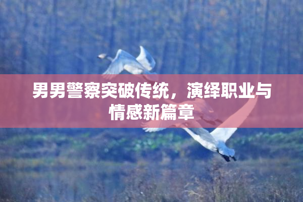 男男警察突破传统，演绎职业与情感新篇章