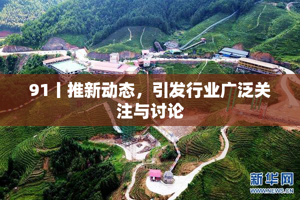 91丨推新动态，引发行业广泛关注与讨论