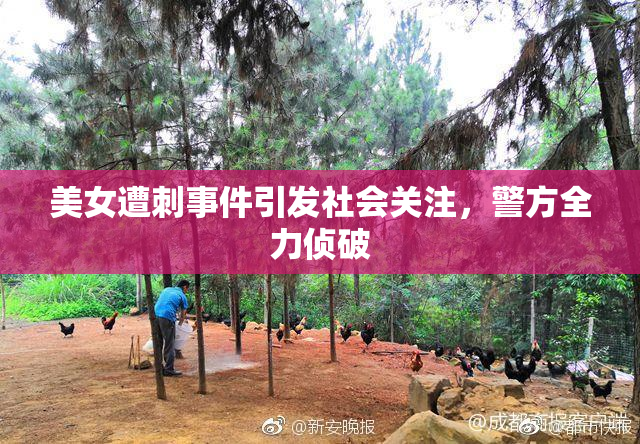 美女遭刺事件引发社会关注，警方全力侦破