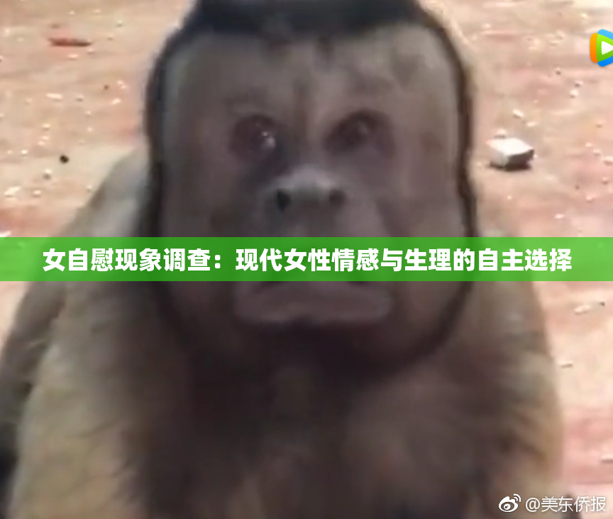 女自慰现象调查：现代女性情感与生理的自主选择