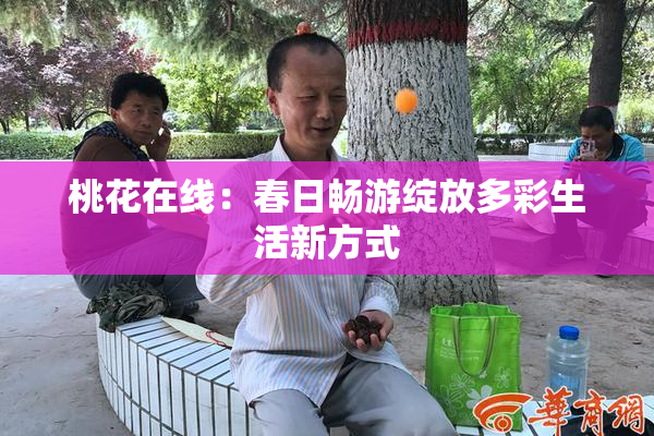 桃花在线：春日畅游绽放多彩生活新方式
