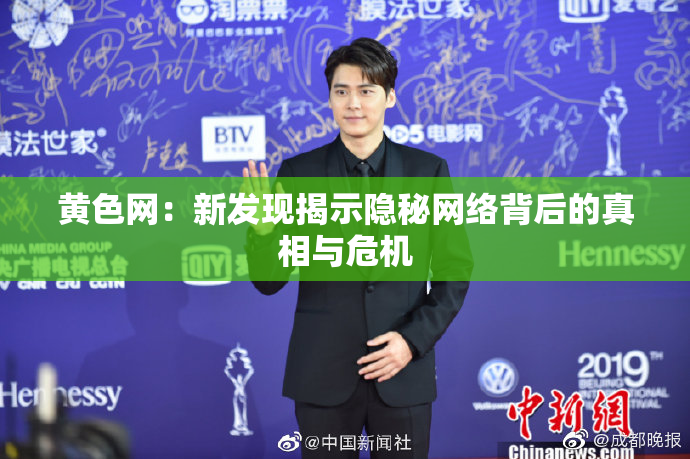 黄色网：新发现揭示隐秘网络背后的真相与危机