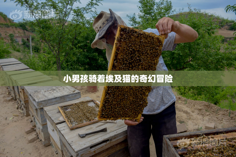 小男孩骑着埃及猫的奇幻冒险