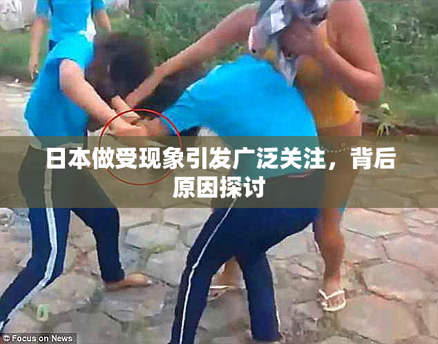 日本做受现象引发广泛关注，背后原因探讨