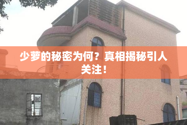 少萝的秘密为何？真相揭秘引人关注！