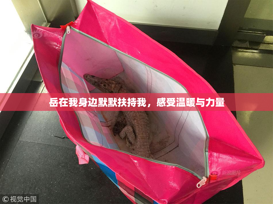 岳在我身边默默扶持我，感受温暖与力量