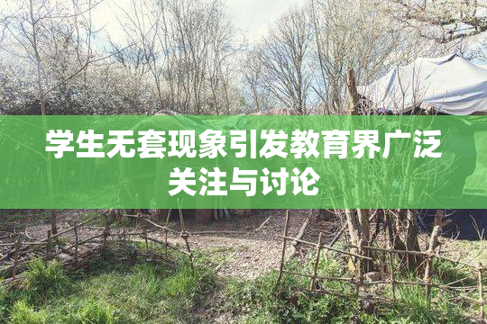 学生无套现象引发教育界广泛关注与讨论