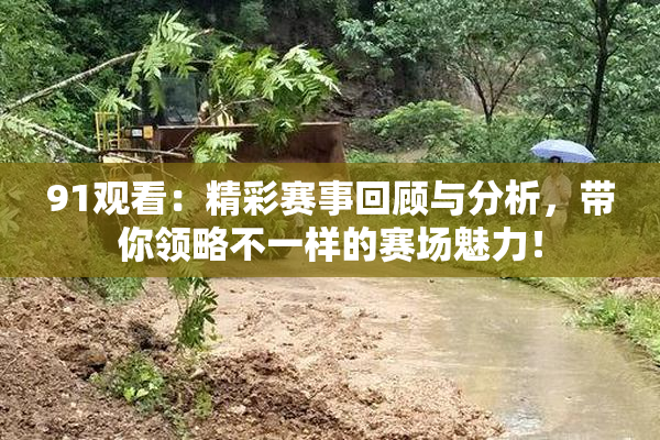 91观看：精彩赛事回顾与分析，带你领略不一样的赛场魅力！