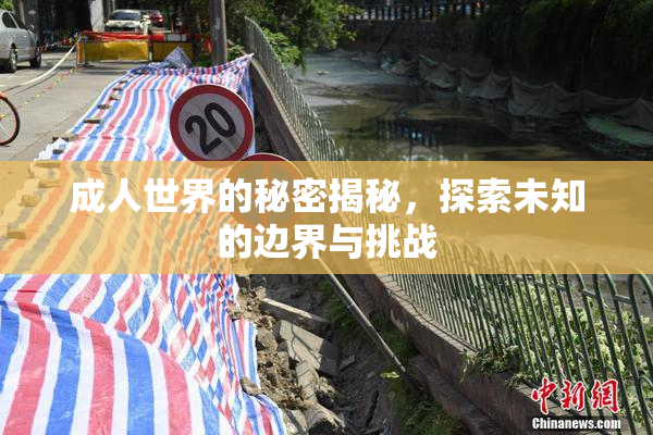 成人世界的秘密揭秘，探索未知的边界与挑战