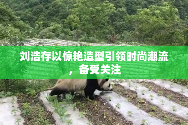 刘浩存以惊艳造型引领时尚潮流，备受关注