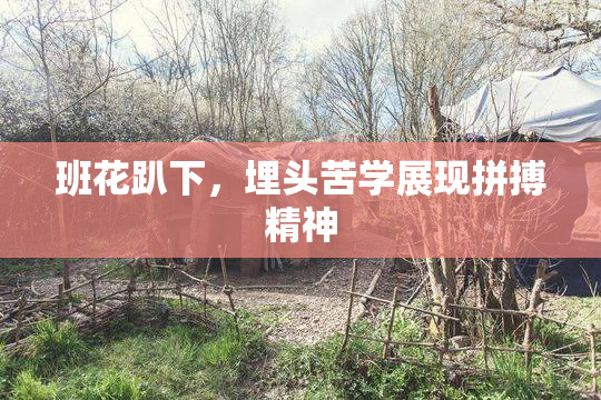班花趴下，埋头苦学展现拼搏精神