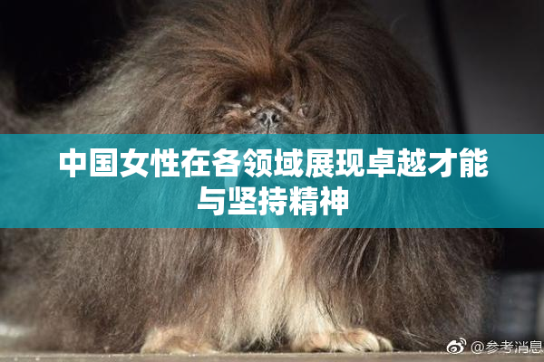 中国女性在各领域展现卓越才能与坚持精神