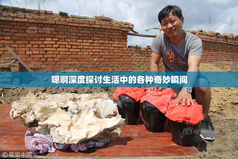 嗯啊深度探讨生活中的各种奇妙瞬间