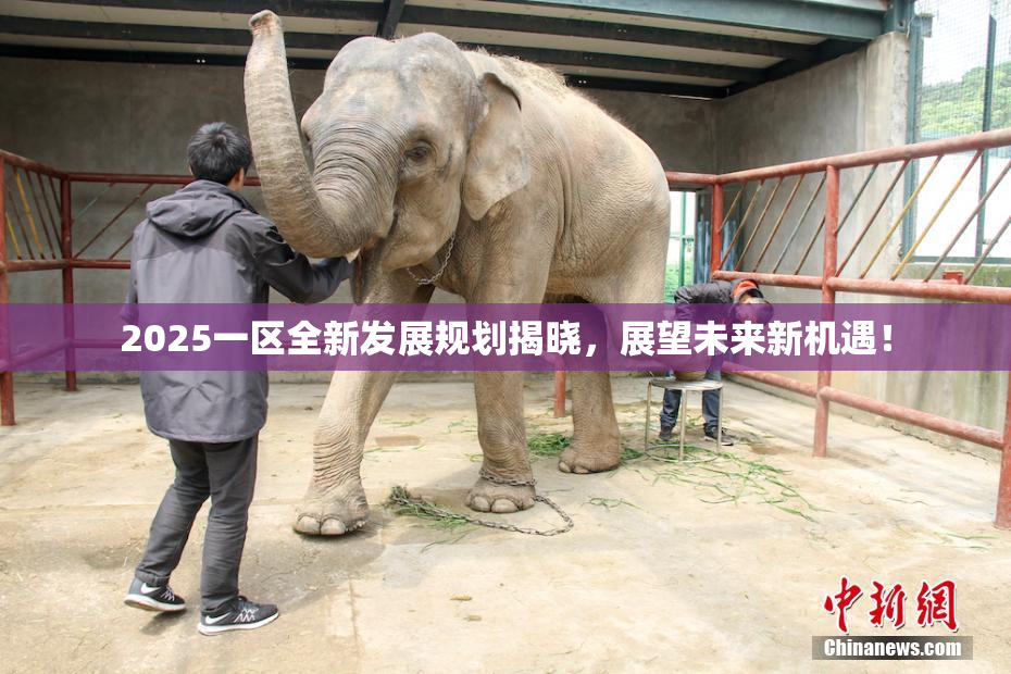 2025一区全新发展规划揭晓，展望未来新机遇！