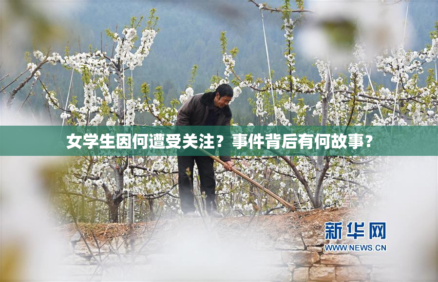 女学生因何遭受关注？事件背后有何故事？