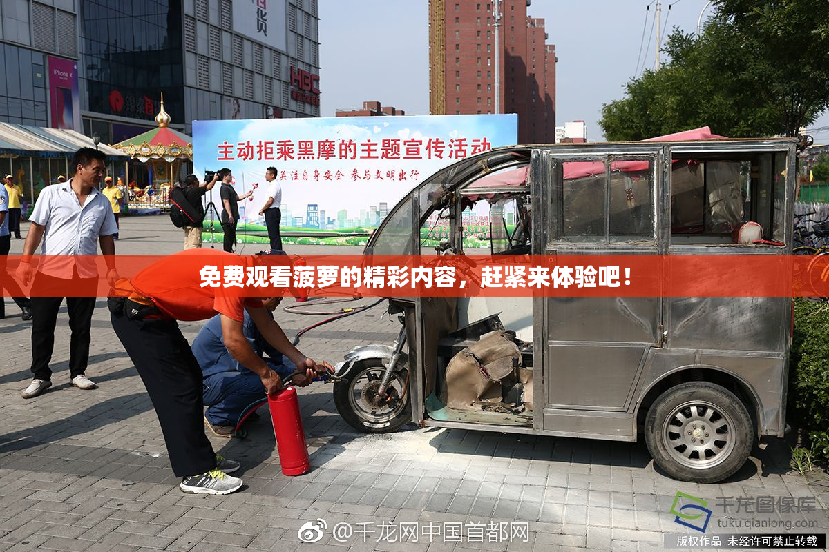 免费观看菠萝的精彩内容，赶紧来体验吧！