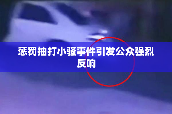 惩罚抽打小骚事件引发公众强烈反响