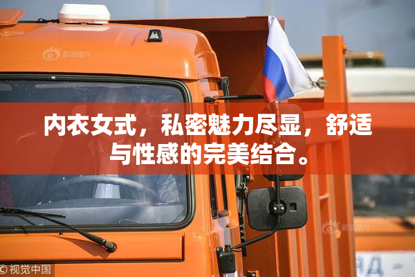 内衣女式，私密魅力尽显，舒适与性感的完美结合。