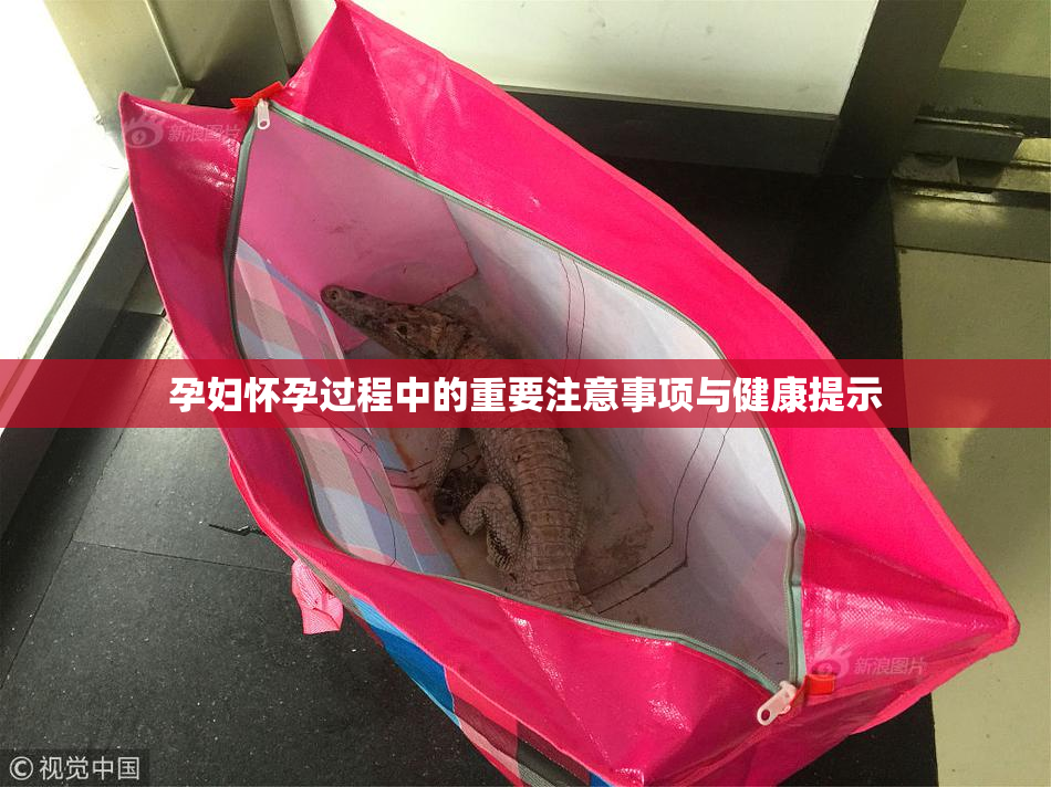 孕妇怀孕过程中的重要注意事项与健康提示